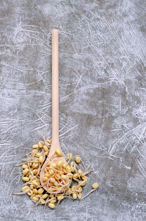 Fresh sprouts of bean seeds. Macrobiotic food. Selective focus.の写真素材