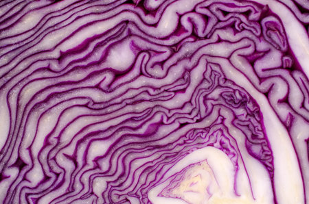 Cut red cabbage close-up. The texture of the chopped cabbage. Design concept.