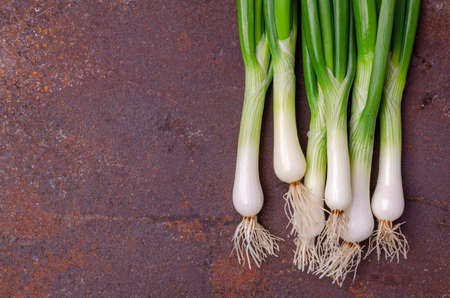 Green onion leaves on an old rusty background. Design concept. Selective focus.の写真素材