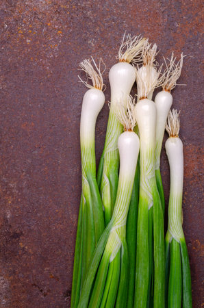 Green onion leaves on an old rusty background. Design concept. Selective focus.