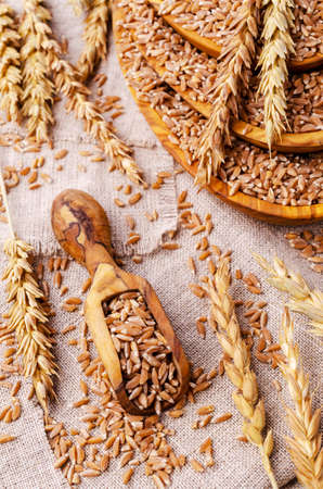 Brown peeled wheat grits on a textile background. The concept of healthy eating. Selective focus.の写真素材