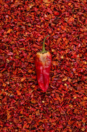 Dry red pepper. Design concept. Top view. Selective focus.の写真素材