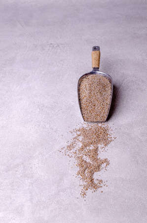 White chia seeds in a metal scoop on a gray background. Selective focus.の写真素材