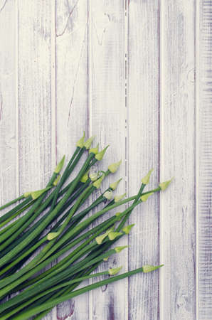 Stems green onion flowers on light wooden boards. Top view. Tinting. Selective focus.の写真素材