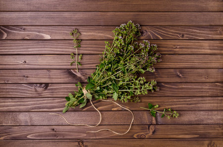 Flowering branches of fresh thyme on a dark wooden background. Top view.の写真素材