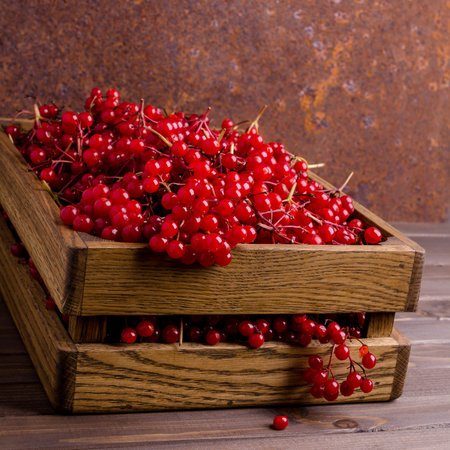 Red viburnum berries in a box on a dark wooden background. Selective focus.
