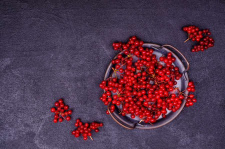 Red viburnum berries on a black slate background. Selective focus.の写真素材