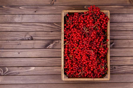 Red viburnum berries in a box on a dark wooden background. Selective focus.の写真素材