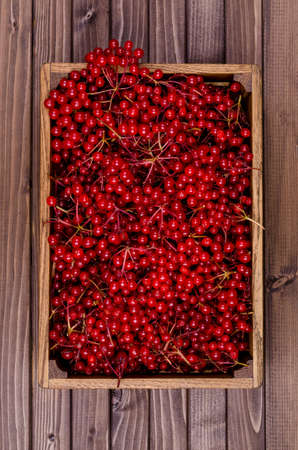 Red viburnum berries in a box on a dark wooden background. Selective focus.の写真素材