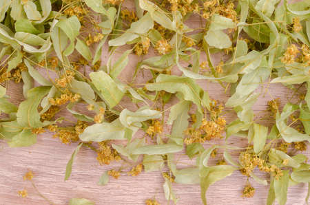 Dried linden leaves and flowers. Wooden background. Design concept. Selective focus.の写真素材