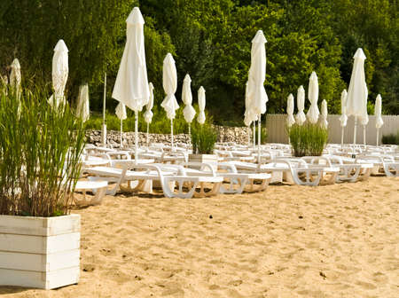 Green trees and sand beach. View of the beach and the umbrellas. White beach loungers. Cloudy skyの写真素材