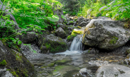 A mountain stream in the sun. A miniature waterfall. Moss-covered stones. Green of mountain plantsの写真素材
