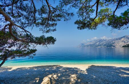 Amazing seascape of Adriatic sea. Colorful summer view of small Brela beach Croatia, Europe. Croatian coast with clear water and pine trees around. Tropical viewpoint for design postcard.の写真素材