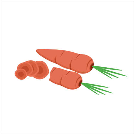 vector carrot illustration and carrot cutのイラスト素材