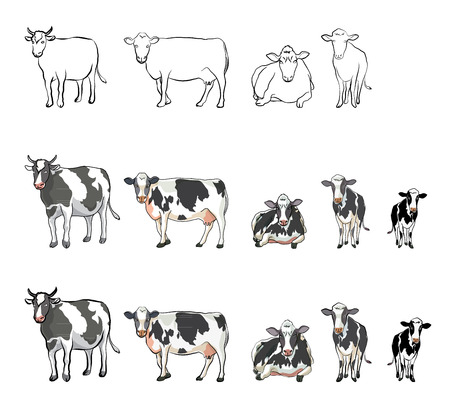 vector cow many actionのイラスト素材