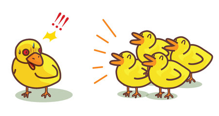 chicksのイラスト素材