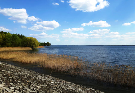 View on the Turawskie Lake in Summer, Poland