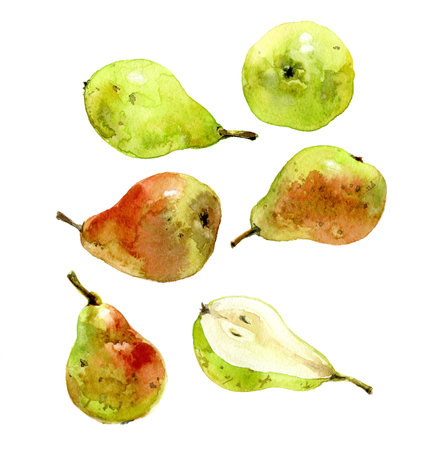 Set with watercolor pears green and redの写真素材