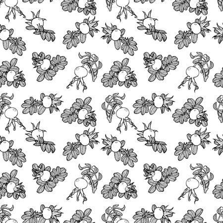 dog rose seamless vector hand drawed patternのイラスト素材