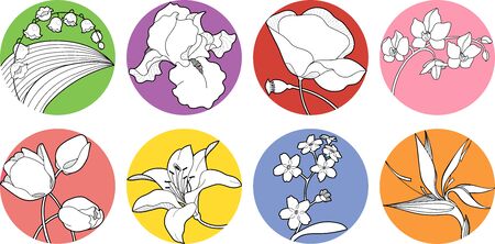 set of vector spring blossom, wildflower, iris, orchid, forget-me-not, strelitzia, may-lily, lily, poppy, tulipのイラスト素材