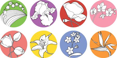 set of spring blossom, wildflower, iris, orchid, forget-me-not, strelitzia, may-lily lily poppy tulipのイラスト素材
