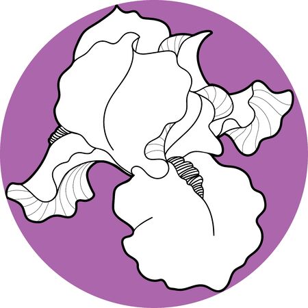 iris flawers in circle hand drawのイラスト素材