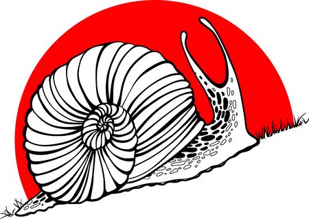 Hand drawn snails. sunset. up. Vector illustration.のイラスト素材