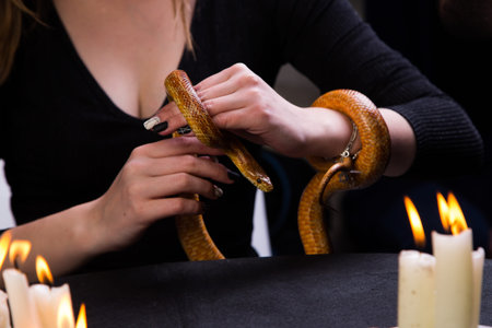 The snake was sleeping in a ball on a woman's handの写真素材