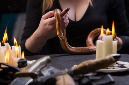 The witch conducts a mystical bloody ritual with a snakeの写真素材