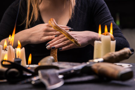 The witch keeps a snake in his hands for the ritual of voodooの写真素材