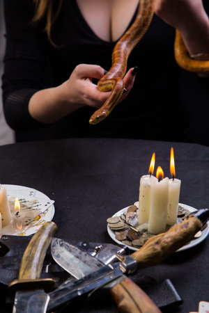 A snake helps you hold the magic ritual witchの写真素材