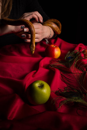 The snake descended from the hands of the witch and sank over the table with apples and feathersの写真素材