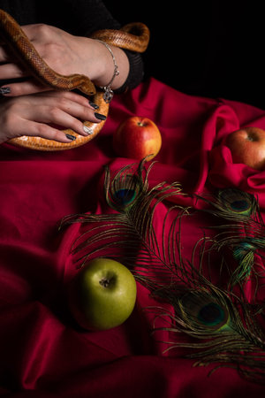 The witch holds a snake in his handの写真素材