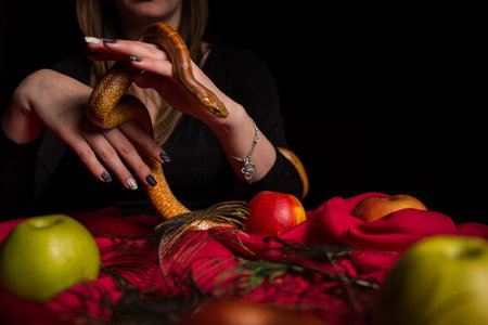 Girl controls a snake in her hands over the tableの写真素材