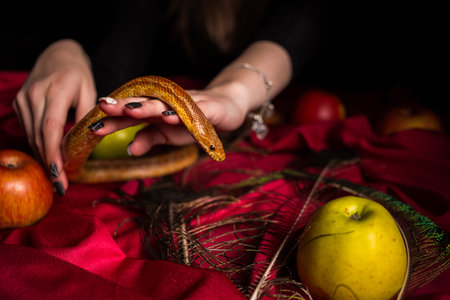 The snake crawls on the witch's tableの写真素材