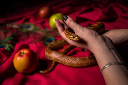 The serpent curved in the hands of the priestessの写真素材