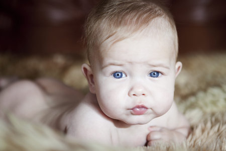 Image of a child lying on furの写真素材