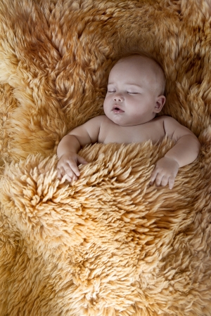 Image of a child sleeping on furの写真素材