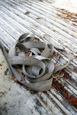 Close up of straps/ropes used to tie down loads in the back of a truck or utility vehicle
の写真素材