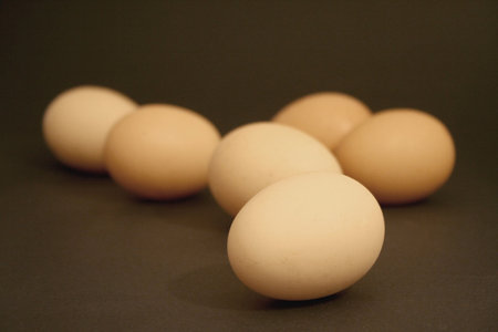 Six (6) brown chicken eggs on a black background
