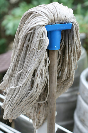 Mop head