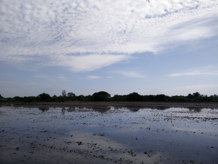 farmland in cloudの写真素材