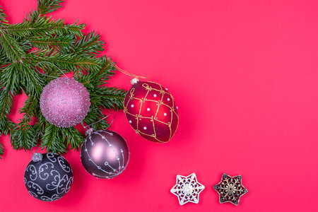 Christmas decorations, fir tree branches on red background.の写真素材