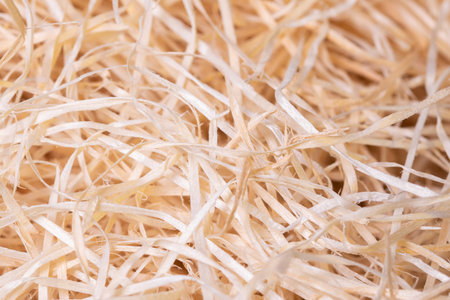 wood shavings background close-up, soft diffused light. Environmentally friendly packaging of fragile items.の写真素材