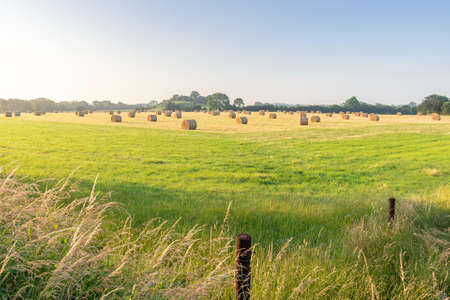 Straw bales on agricultural field with patch of grass at the front.の写真素材