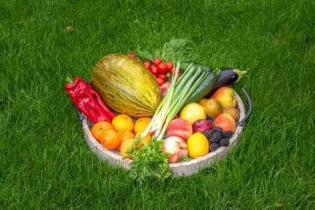 Fruits and vegetables in a wooden tray on green grass as backgroundの写真素材