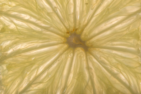 slice of juicy fresh citrus very close in detail close-up macro. fruit background. pattern. citrusの写真素材