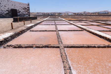 Traditional salt production in Salinas del Carmen on the island Fuerteventuraの写真素材