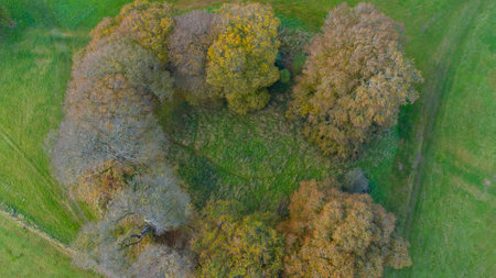 Aerial view on green fields and meadows. Stunning aerial shot over lush green fields and meadows .の写真素材