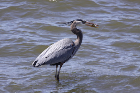 Good day fishing.の写真素材